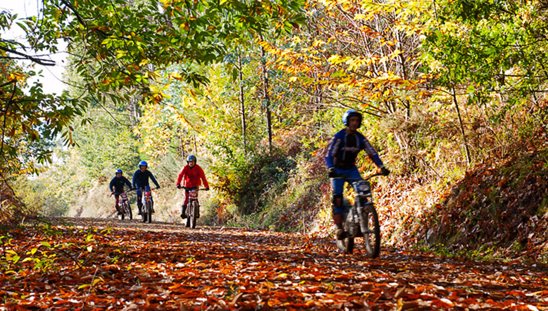Camiños de auga sobre Rodas