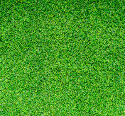 Álbumes profesionales Bodas