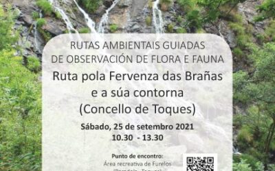 Rutas ambientais no Pino e en Toques venres 24 e sábado 25 de setembro