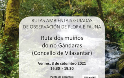 Rutas ambientais no Ulla Tambre Mandeo