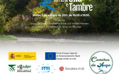II Foro Virtual «Camiños de Auga nas Terras de Ulla e Tambre»