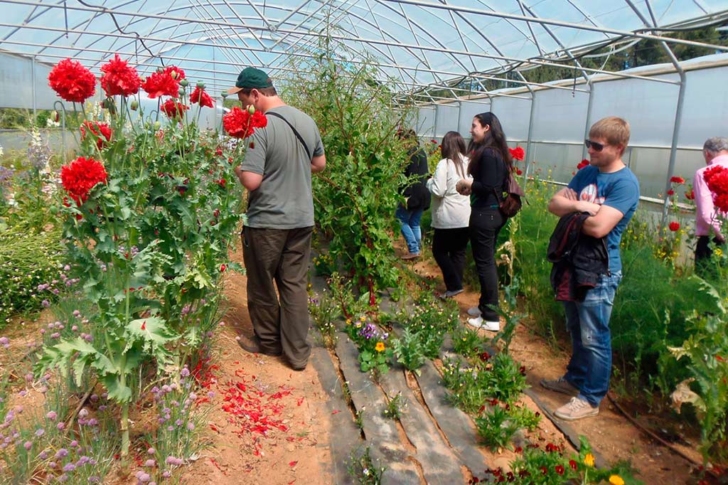 Curso aproveitamento do monte Cursos de usos alternativos do monte