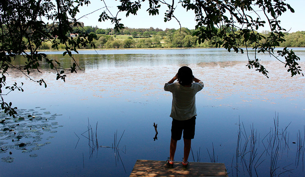 Espazos protexidos Patrimonio histórico