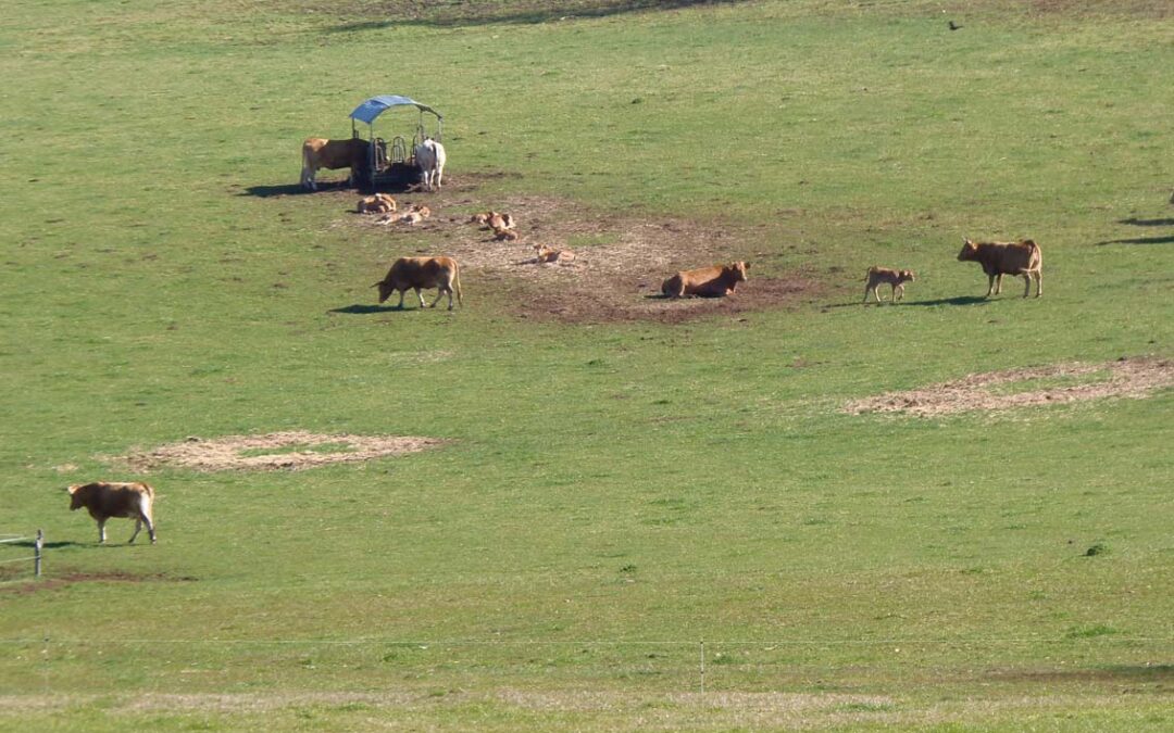 O GDR Ulla Tambre Mandeo aproba axudas Leader para 12 novos proxectos