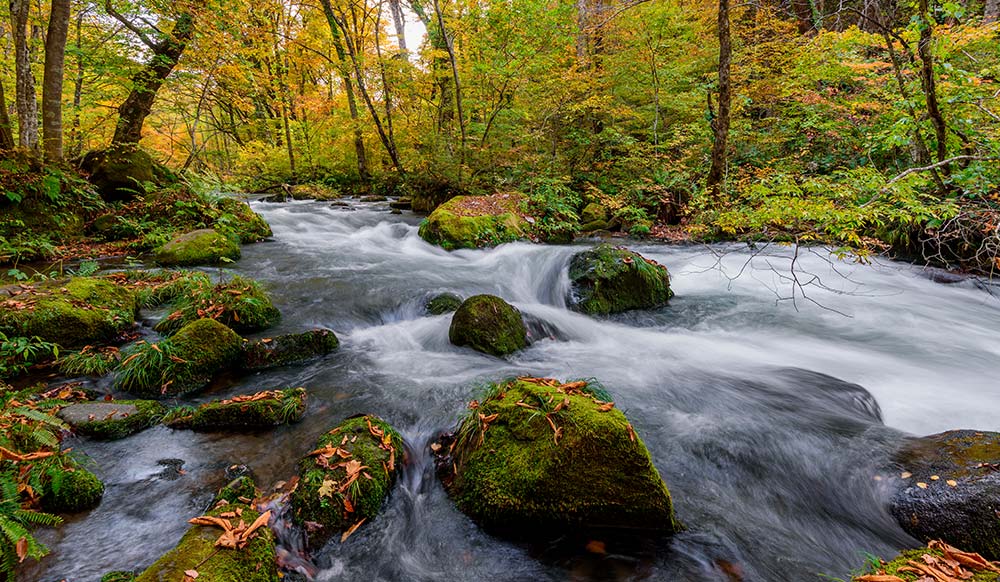 Ríos Ulla e Tambre Ríos Ulla e Tambre
