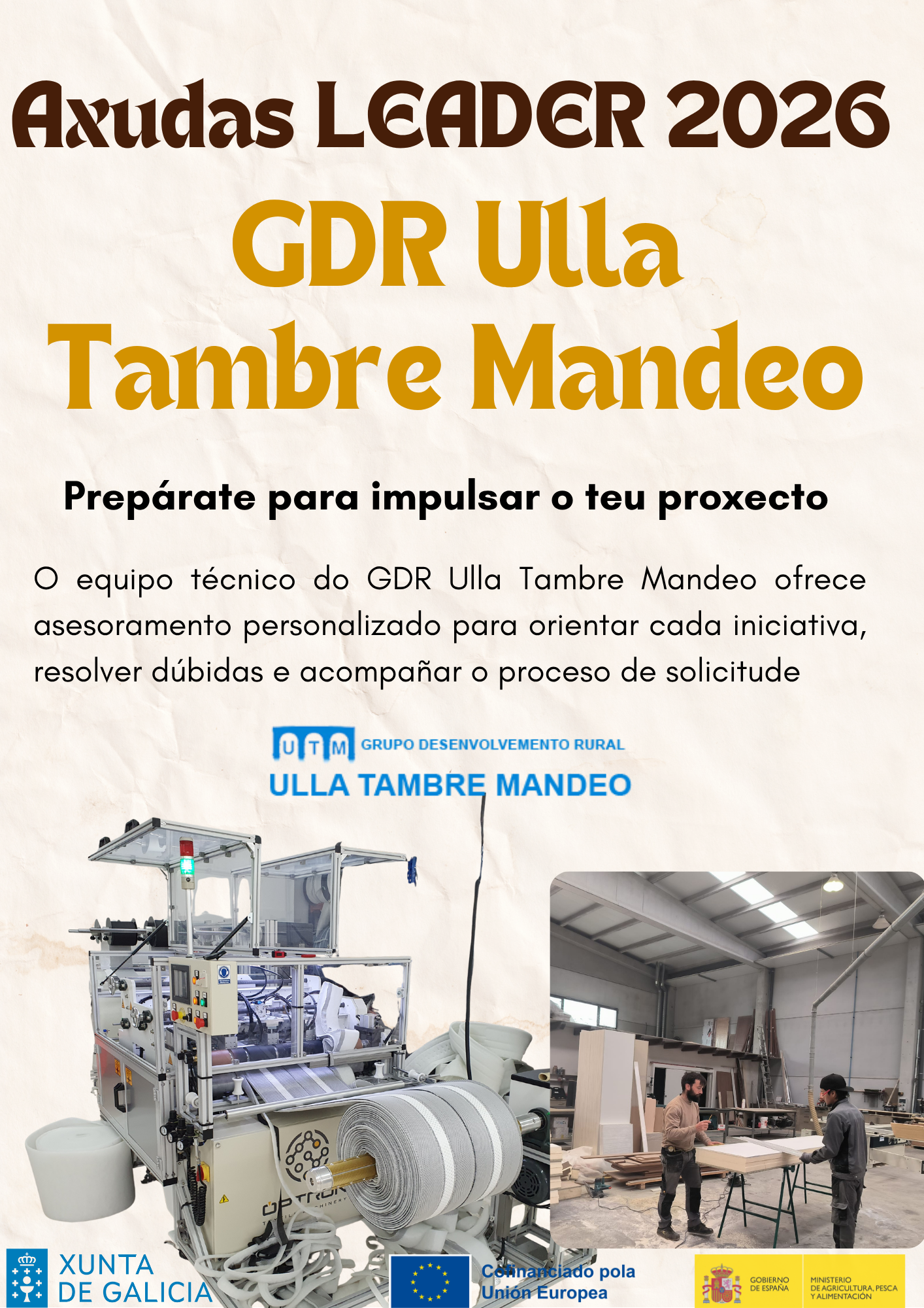 Cartel festival mujeres rural collage girasoles marrón